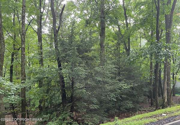 0.31 Acres of Residential Land for Sale in Albrightsville, Pennsylvania