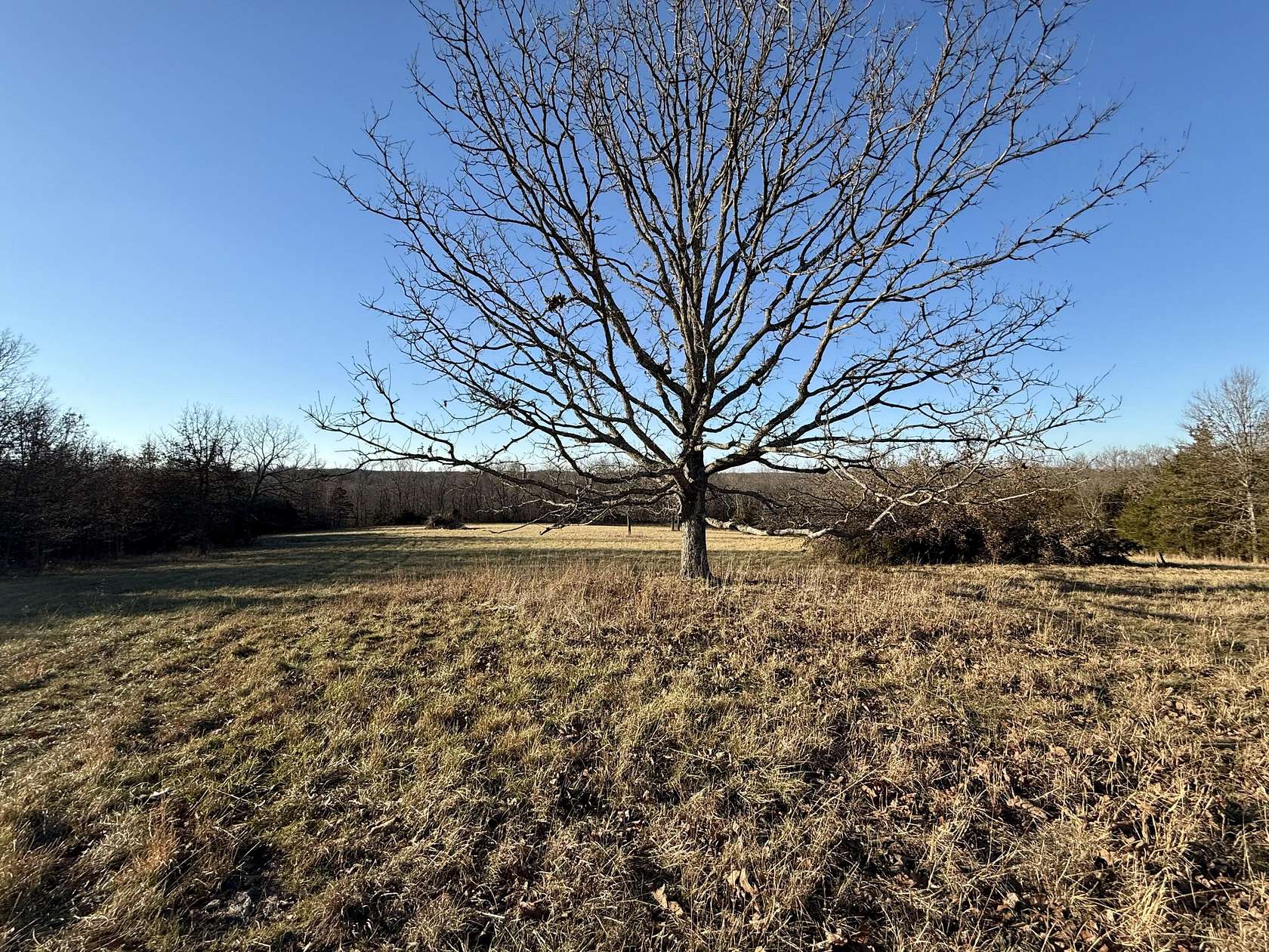 23 Acres of Land for Sale in Salem, Missouri