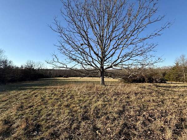 23 Acres of Land for Sale in Salem, Missouri