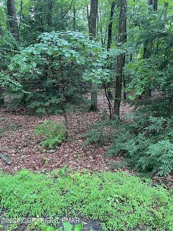 0.36 Acres of Residential Land for Sale in Albrightsville, Pennsylvania