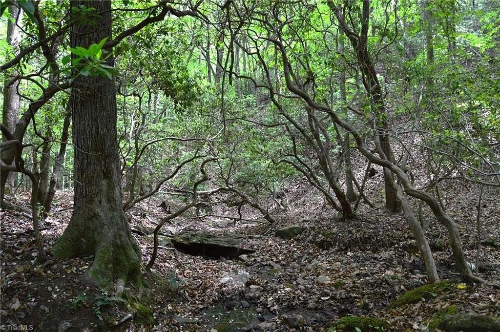 75 Acres of Recreational & Residential Land for Sale in Germanton, North Carolina