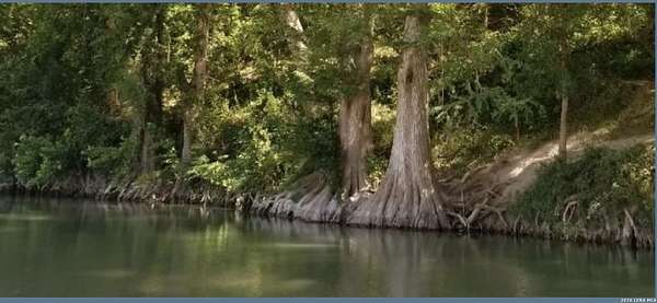 0.51 Acres of Residential Land for Sale in Spring Branch, Texas