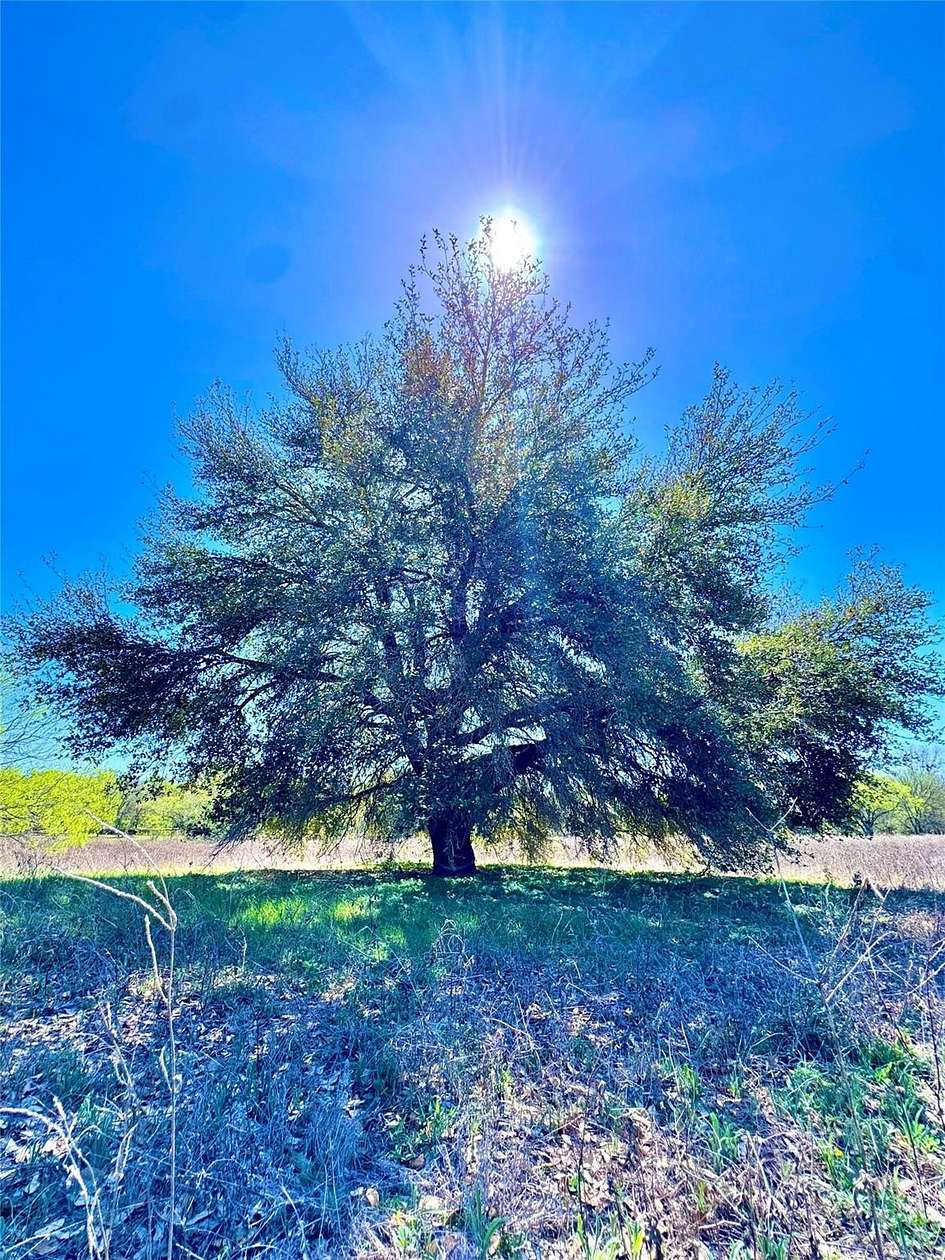11 Acres of Land for Sale in Kingsbury, Texas