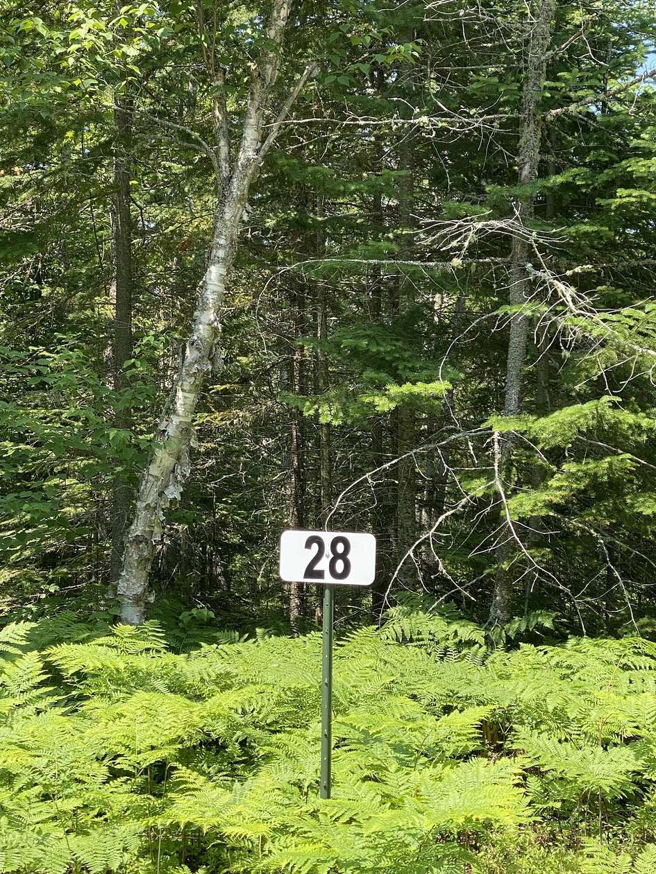 0.57 Acres of Residential Land for Sale in Paradise, Michigan