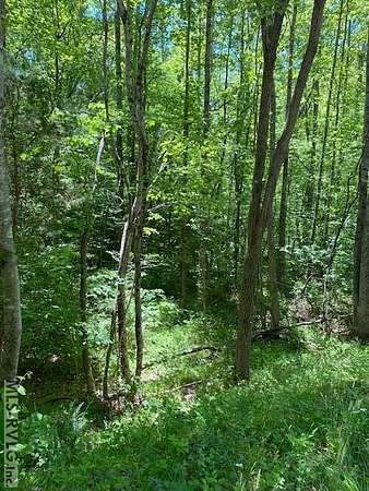 2 Acres of Residential Land for Sale in Freeman, Virginia