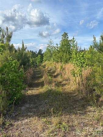 17.9 Acres of Recreational & Residential Land for Sale in Heath Springs, South Carolina