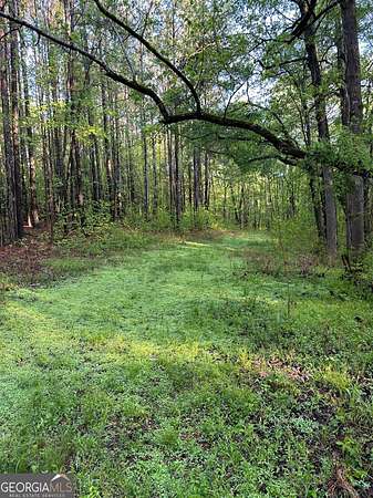 23.4 Acres of Land for Sale in Locust Grove, Georgia