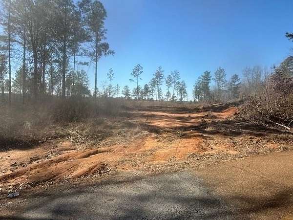 10.7 Acres of Recreational & Residential Land for Sale in Bolivar, Tennessee