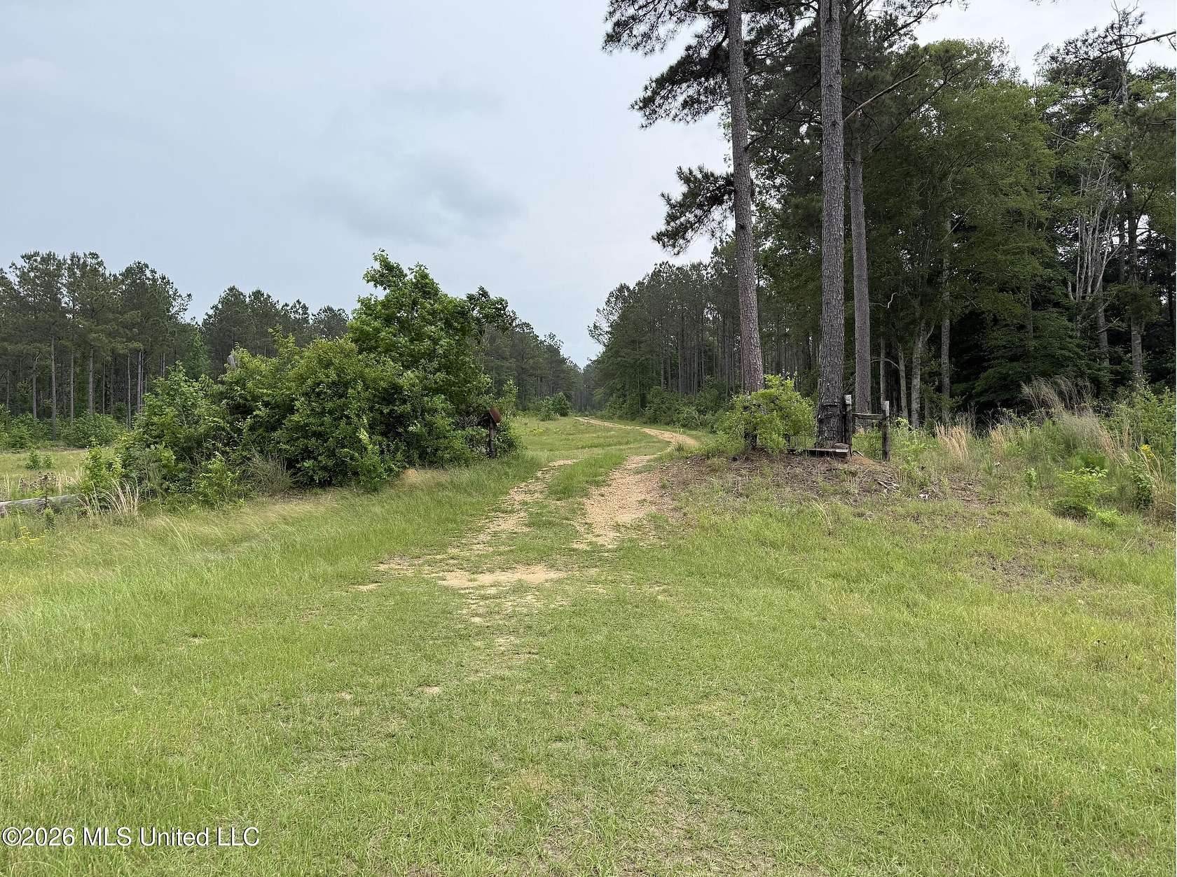 85 Acres of Recreational & Residential Land for Sale in Wesson, Mississippi