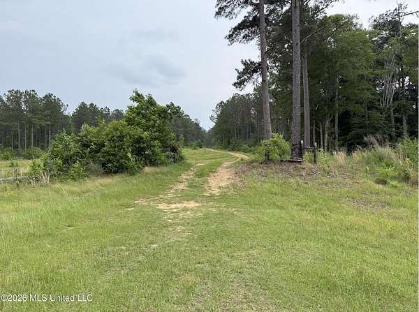 85 Acres of Recreational & Residential Land for Sale in Wesson, Mississippi