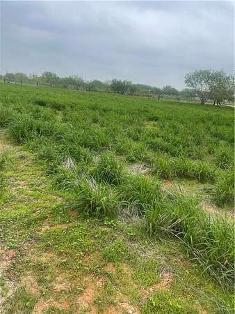 4.58 Acres of Residential Land for Sale in Edinburg, Texas