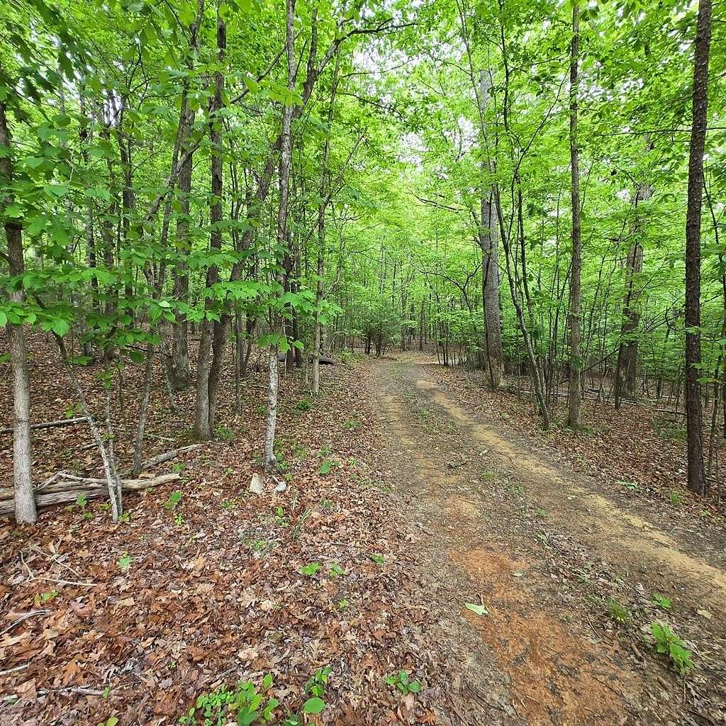 3.5 Acres of Land for Sale in Morganton, Georgia