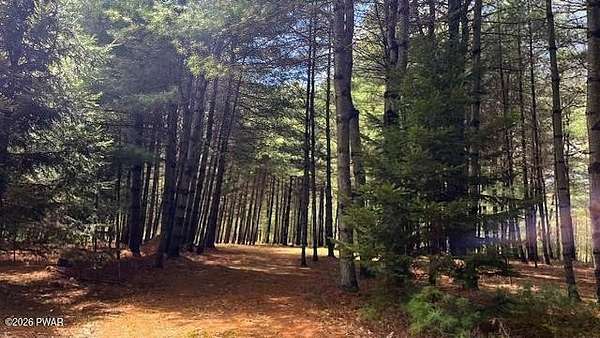 9.65 Acres of Residential Land for Sale in Glen Spey, New York