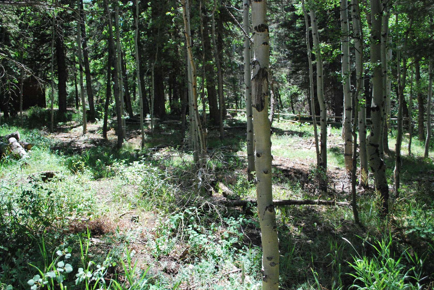 Land for Sale in Cuchara, Colorado