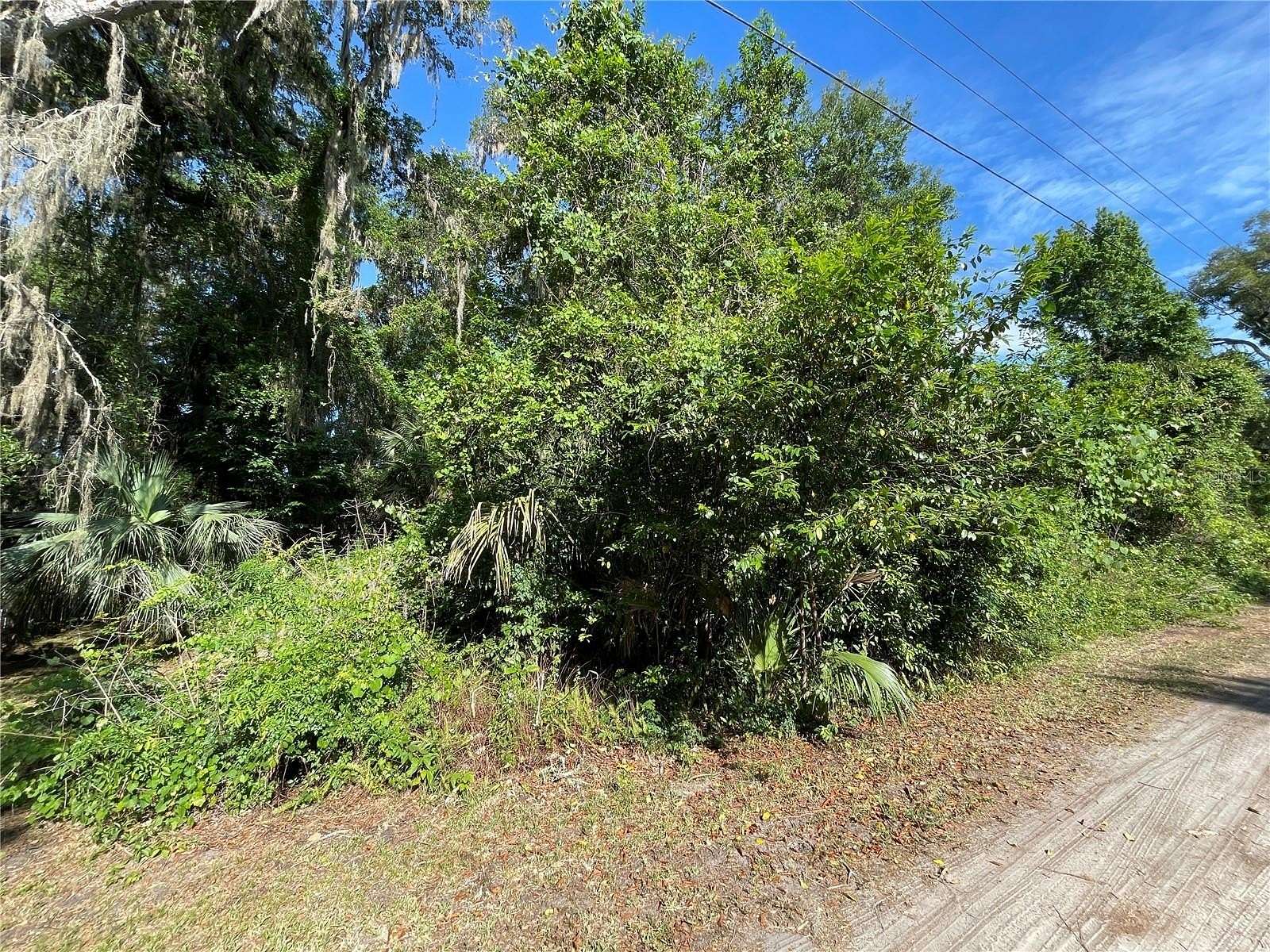 0.21 Acres of Residential Land for Sale in Citra, Florida