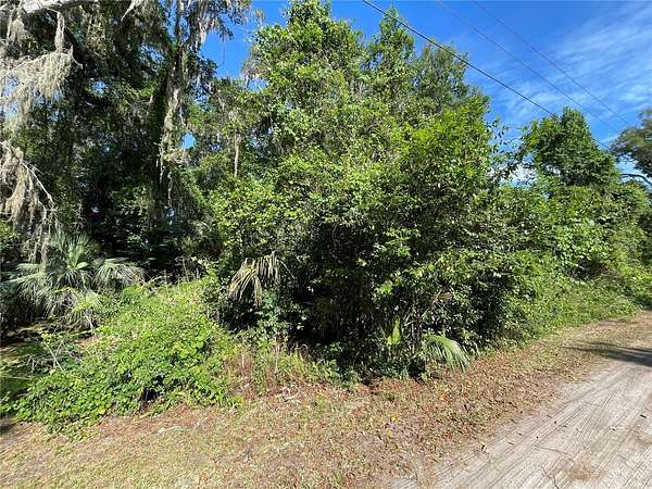 0.21 Acres of Residential Land for Sale in Citra, Florida