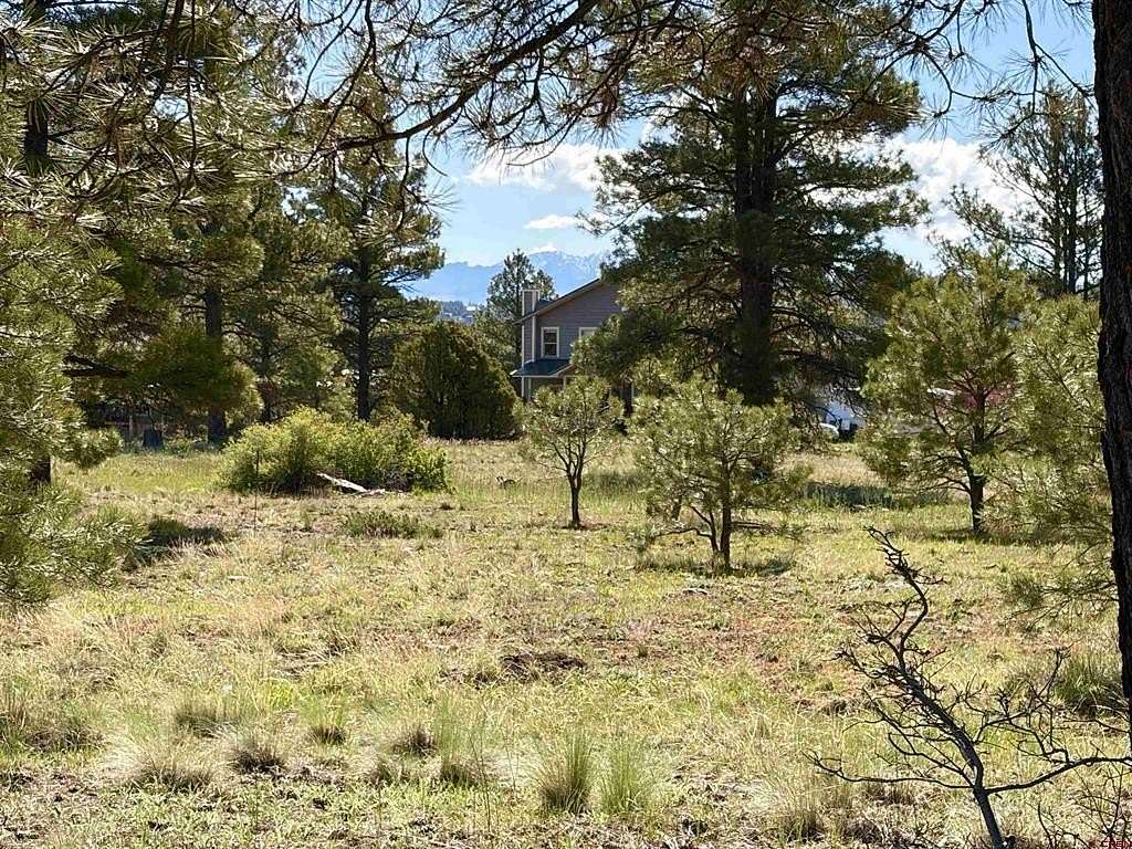 0.34 Acres of Land for Sale in Pagosa Springs, Colorado