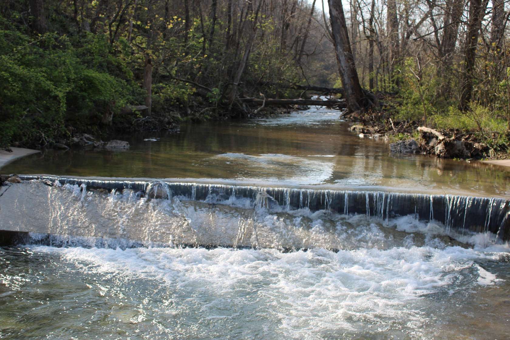 118 Acres of Land for Sale in Reeds Spring, Missouri