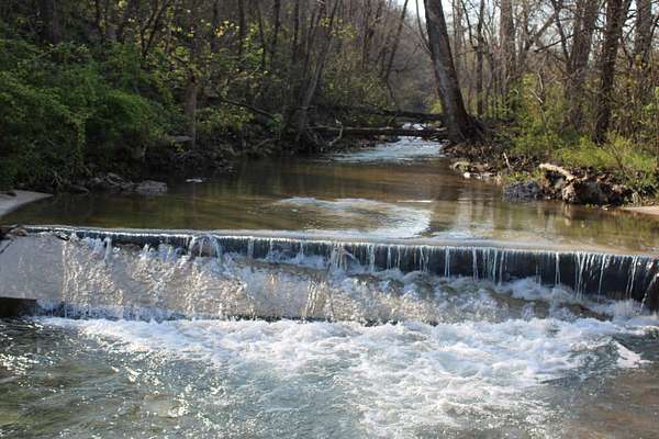 118 Acres of Land for Sale in Reeds Spring, Missouri