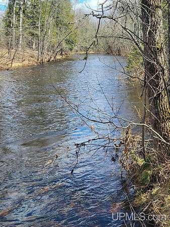 3.5 Acres of Land for Sale in Hardwood, Michigan