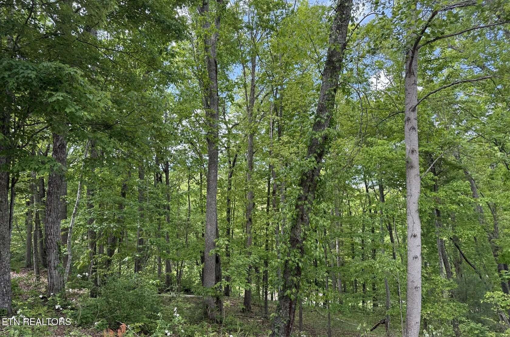 0.56 Acres of Residential Land for Sale in Crossville, Tennessee