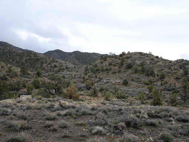 439 Acres of Land for Auction in Hackberry, Arizona