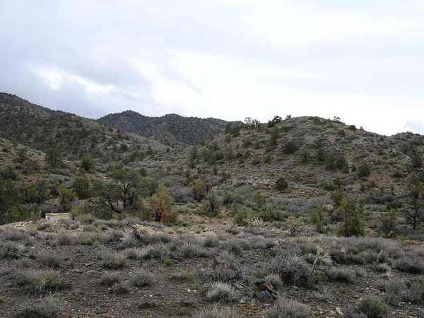 433 Acres of Land for Auction in Hackberry, Arizona