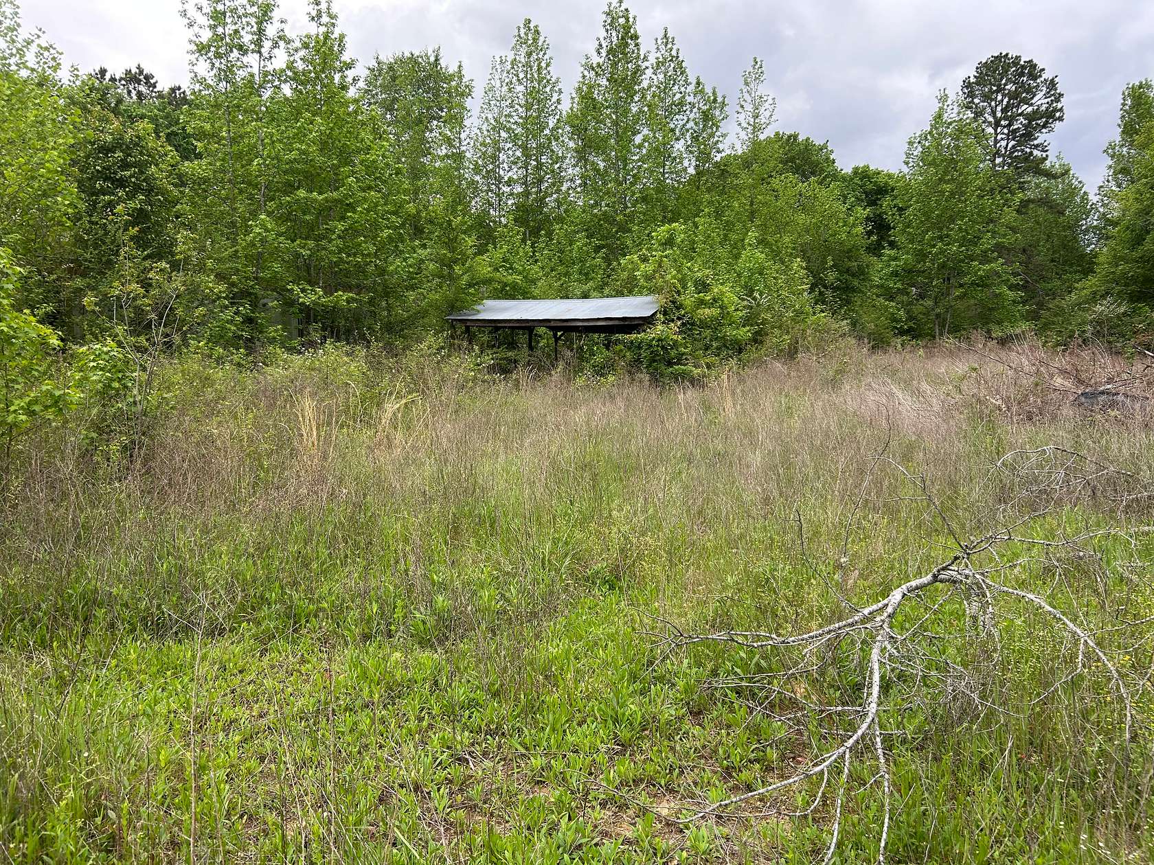 4 Acres of Land for Sale in Boles, Arkansas