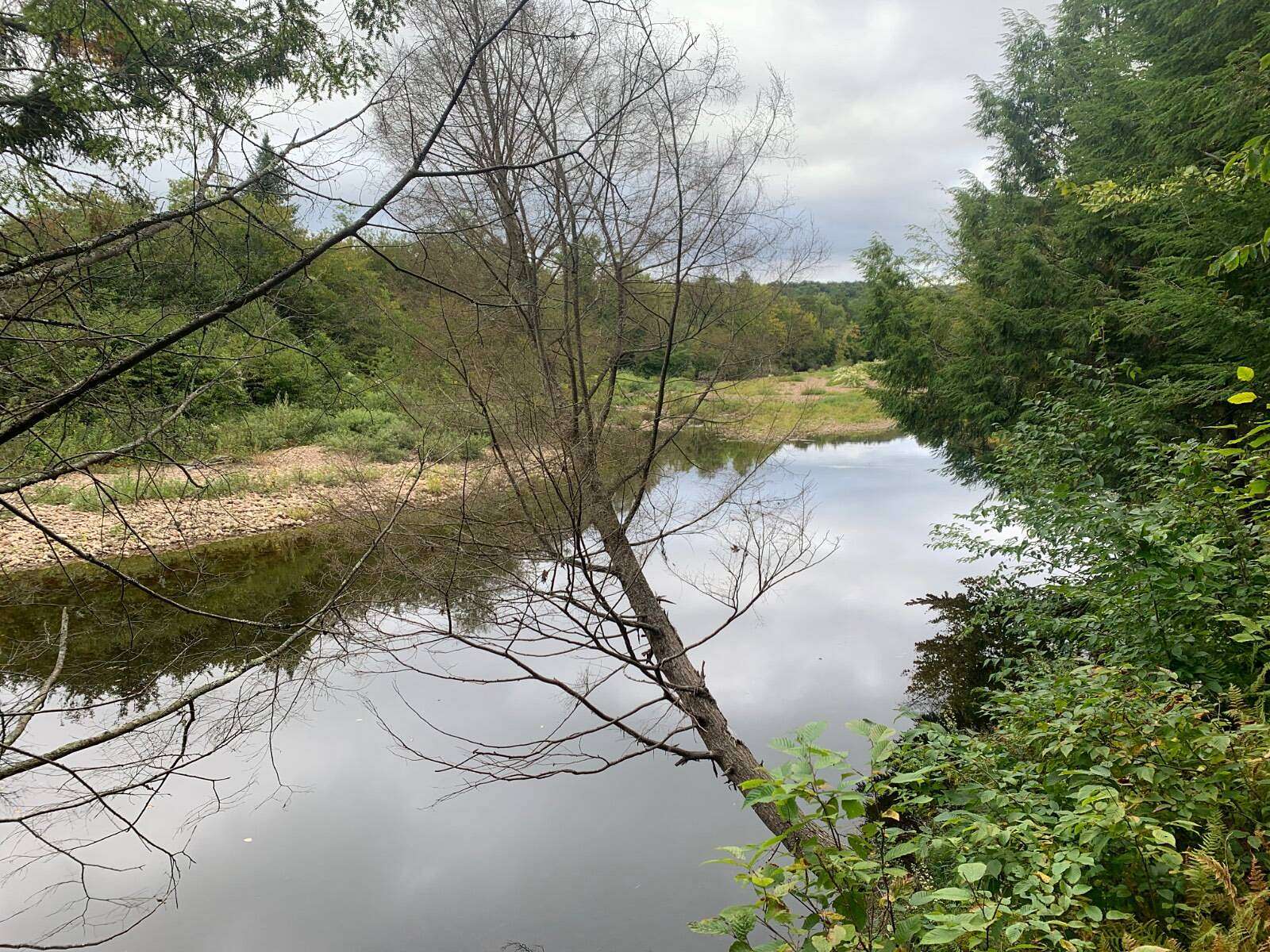 13.4 Acres of Land for Sale in Cold Brook, New York