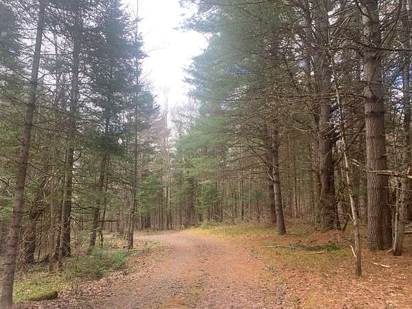 13.4 Acres of Land for Sale in Cold Brook, New York