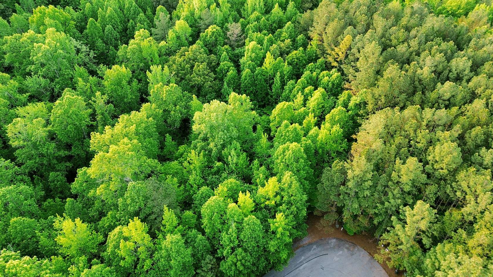 8.3 Acres of Residential Land for Sale in Smithville, Tennessee