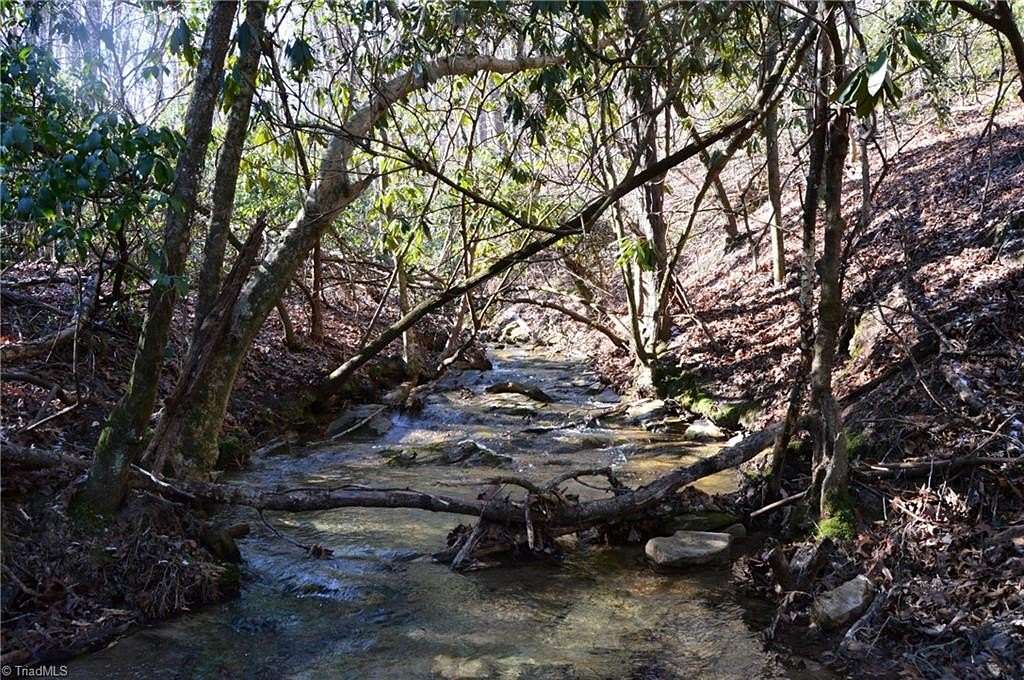 219 Acres of Recreational & Residential Land for Sale in Danbury, North Carolina