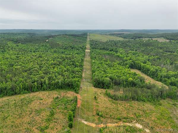 29 Acres of Recreational Land for Sale in Moundville, Alabama