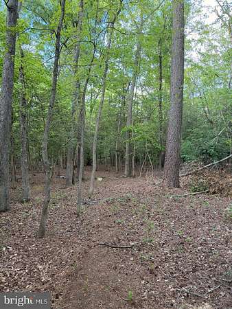 8 Acres of Residential Land for Sale in Goldsboro, Maryland