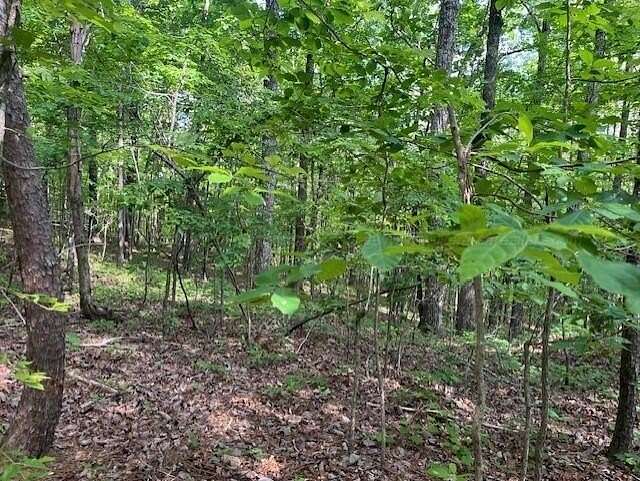 30 Acres of Recreational Land for Sale in Quinton, Alabama