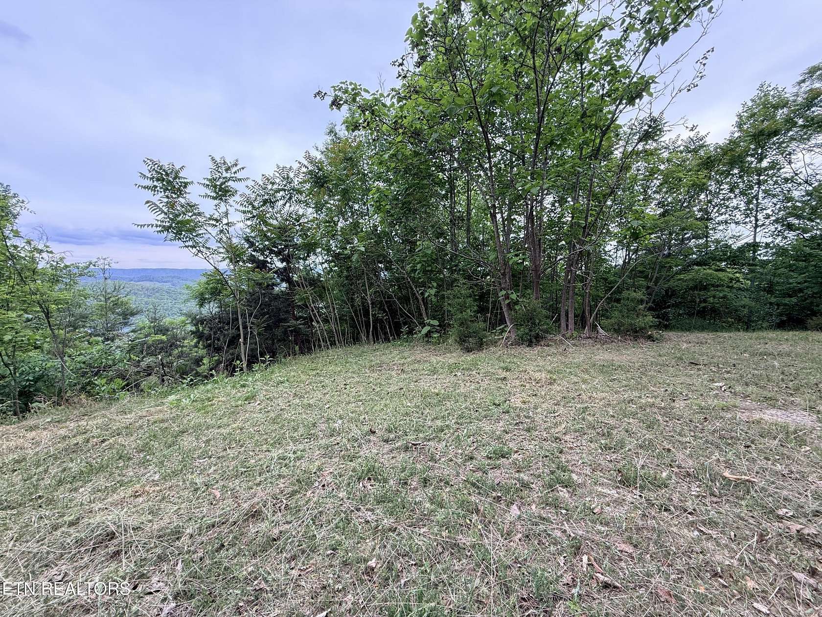 6 Acres of Residential Land for Sale in New Tazewell, Tennessee