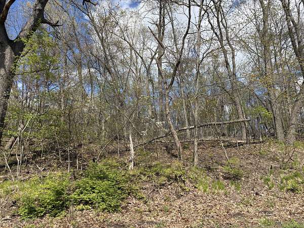 11.3 Acres of Land for Sale in Cassopolis, Michigan