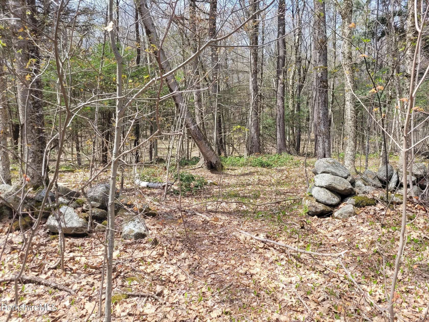8 Acres of Residential Land for Sale in Sandisfield, Massachusetts