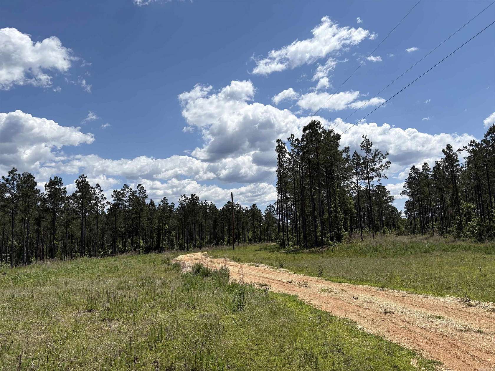25 Acres of Recreational & Residential Land for Sale in Sheridan, Arkansas