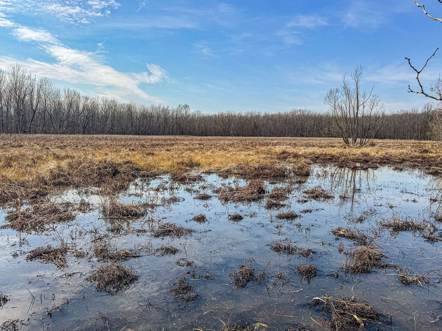 92 Acres of Recreational Land for Sale in Lambert, Mississippi
