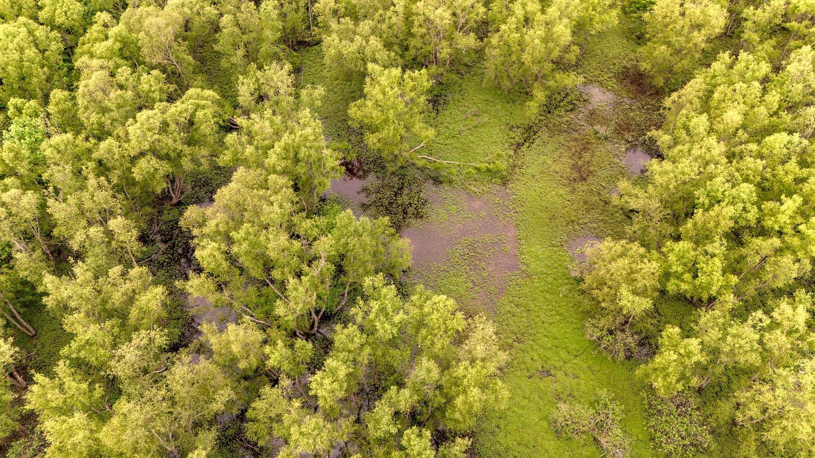 92 Acres of Recreational Land for Sale in Lambert, Mississippi