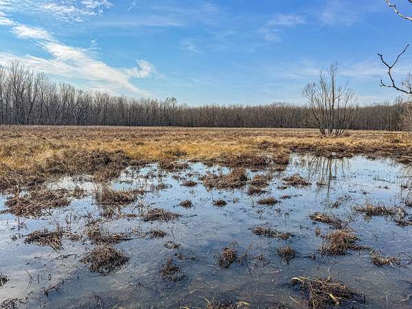 92 Acres of Recreational Land for Sale in Lambert, Mississippi