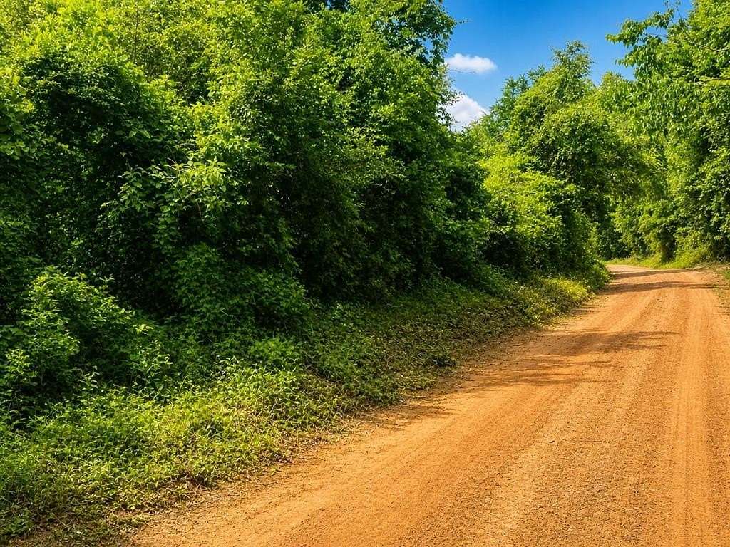 2.37 Acres of Residential Land for Sale in Garrison, Texas