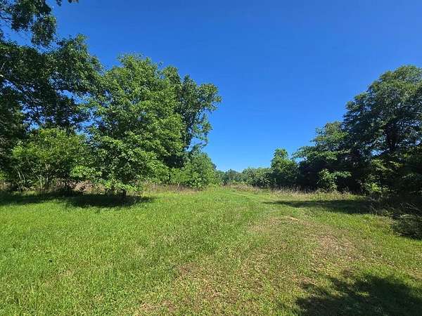 1 Acre of Residential Land for Sale in Burkeville, Texas
