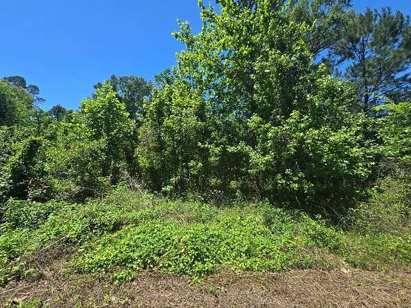 1 Acre of Residential Land for Sale in Orange, Texas