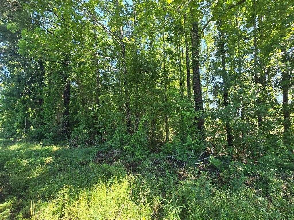 0.7 Acres of Residential Land for Sale in Burkeville, Texas