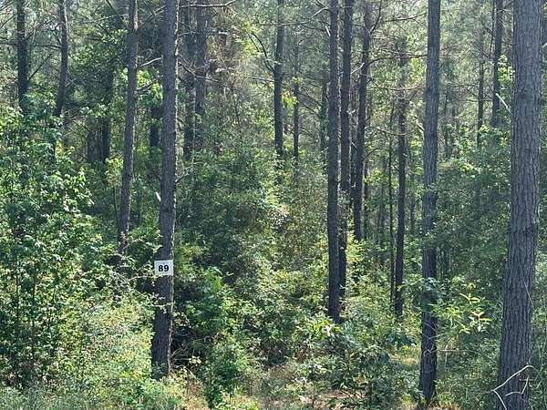 1.88 Acres of Residential Land for Sale in Broaddus, Texas