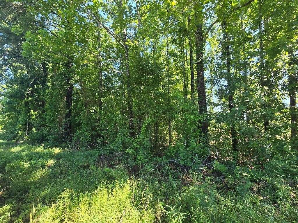 0.37 Acres of Land for Sale in Burkeville, Texas