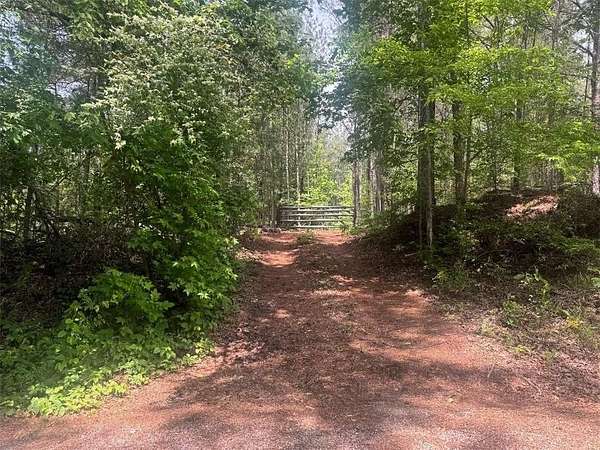 10.1 Acres of Land for Sale in McDonough, Georgia