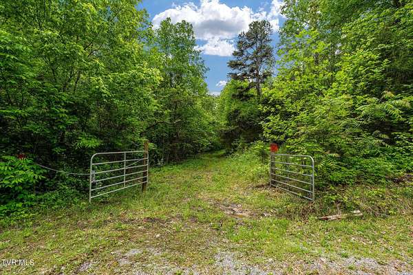 34 Acres of Recreational & Residential Land for Sale in Greeneville, Tennessee